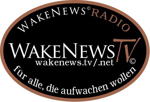 Wake News Aufkleber 1