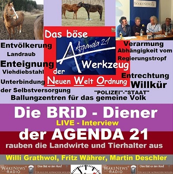 Die BRiD-Diener der AGENDA 21 vsm