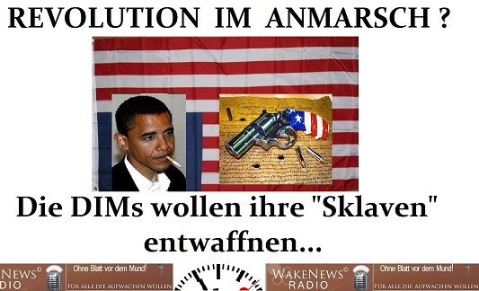 Revolution im Anmarsch sm