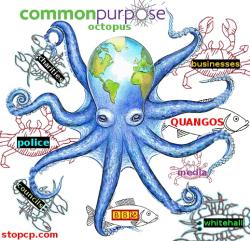 commonpurposeoctopus300x